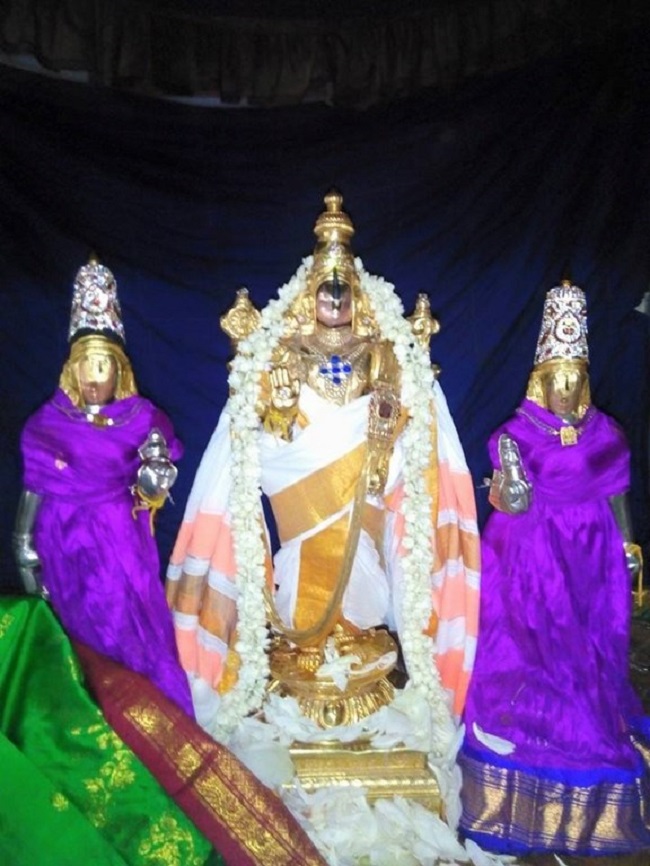 Vanamamalai Sri Deivanayaga Perumal Temple Chithirai Brahmotsavam14