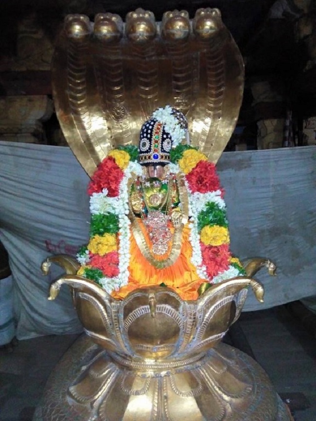 Vanamamalai Sri Deivanayaga Perumal Temple Chithirai Brahmotsavam2