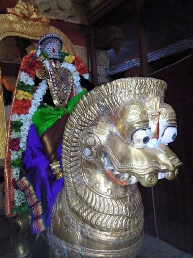Vanamamalai Sri Deivanayaga Perumal Temple Chithirai Brahmotsavam5