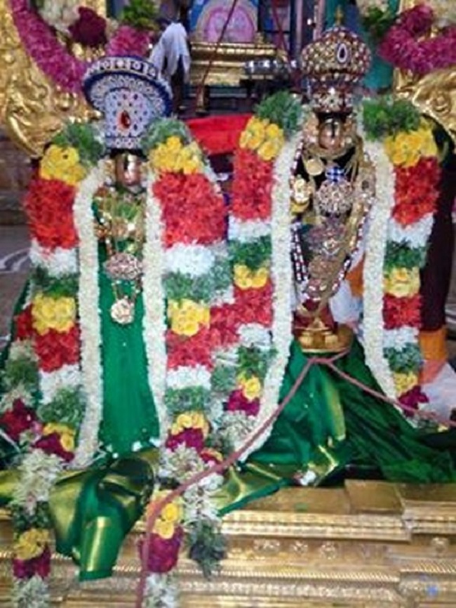 Vanamamalai Sri Deivanayaga Perumal Temple Chithirai Brahmotsavam7