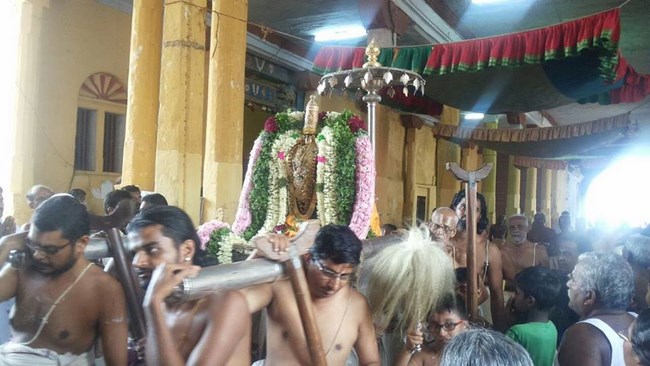 Vanamamalai Sri Deivanayaga Perumal Temple Panguni Brahmotsavam Concludes11