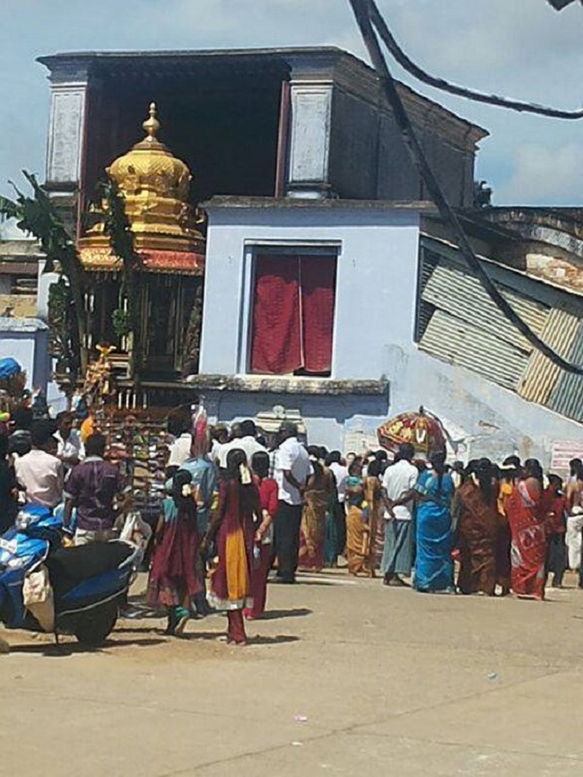 Vanamamalai Sri Deivanayaga Perumal Temple Panguni Brahmotsavam Concludes13