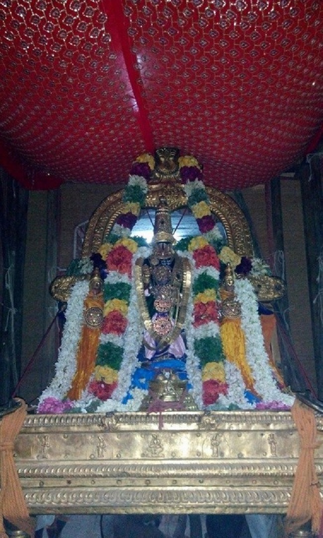 Vanamamalai Sri Deivanayaga Perumal Temple Panguni Brahmotsavam Concludes20