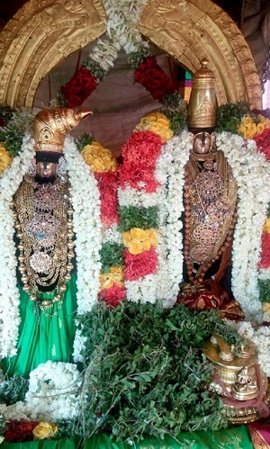 Vanamamalai Sri Deivanayaga Perumal Temple Panguni Brahmotsavam Concludes8