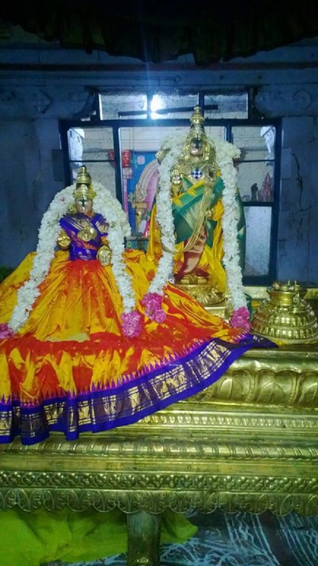 Vanamamalai Sri Deivanayaga Perumal Temple Panguni Brahmotsavam10