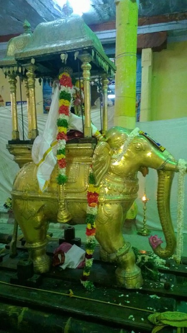 Vanamamalai Sri Deivanayaga Perumal Temple Panguni Brahmotsavam12