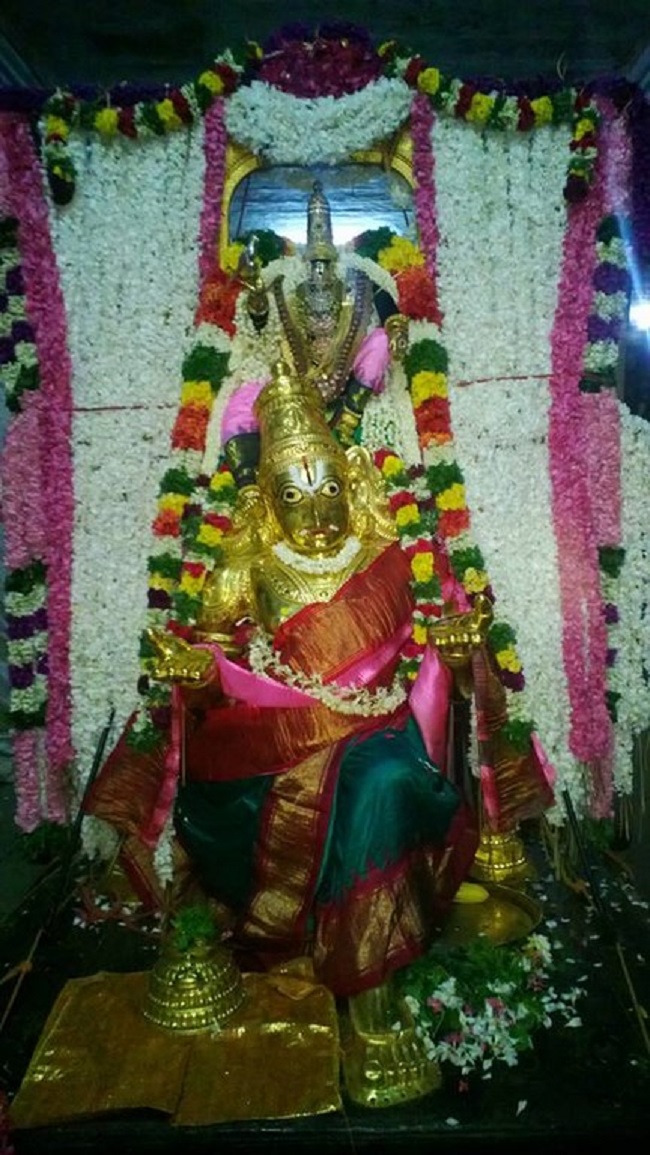 Vanamamalai Sri Deivanayaga Perumal Temple Panguni Brahmotsavam13