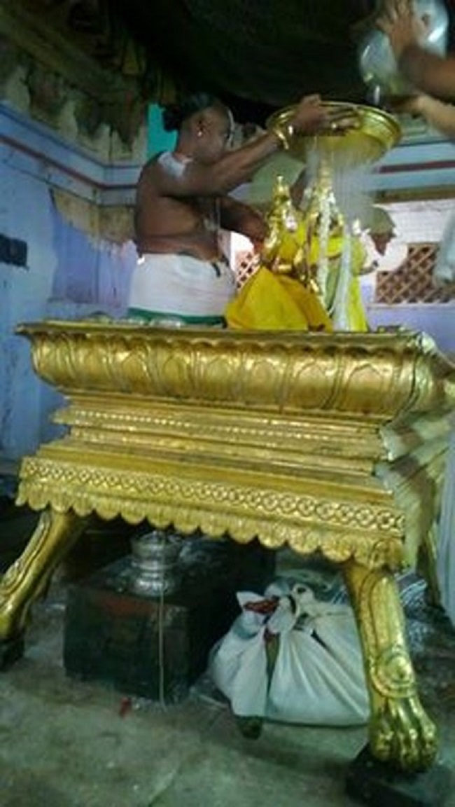 Vanamamalai Sri Deivanayaga Perumal Temple Panguni Brahmotsavam15