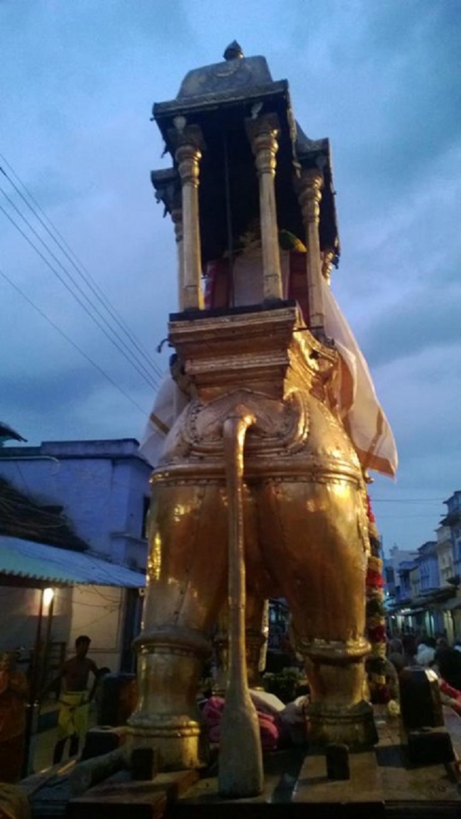 Vanamamalai Sri Deivanayaga Perumal Temple Panguni Brahmotsavam17