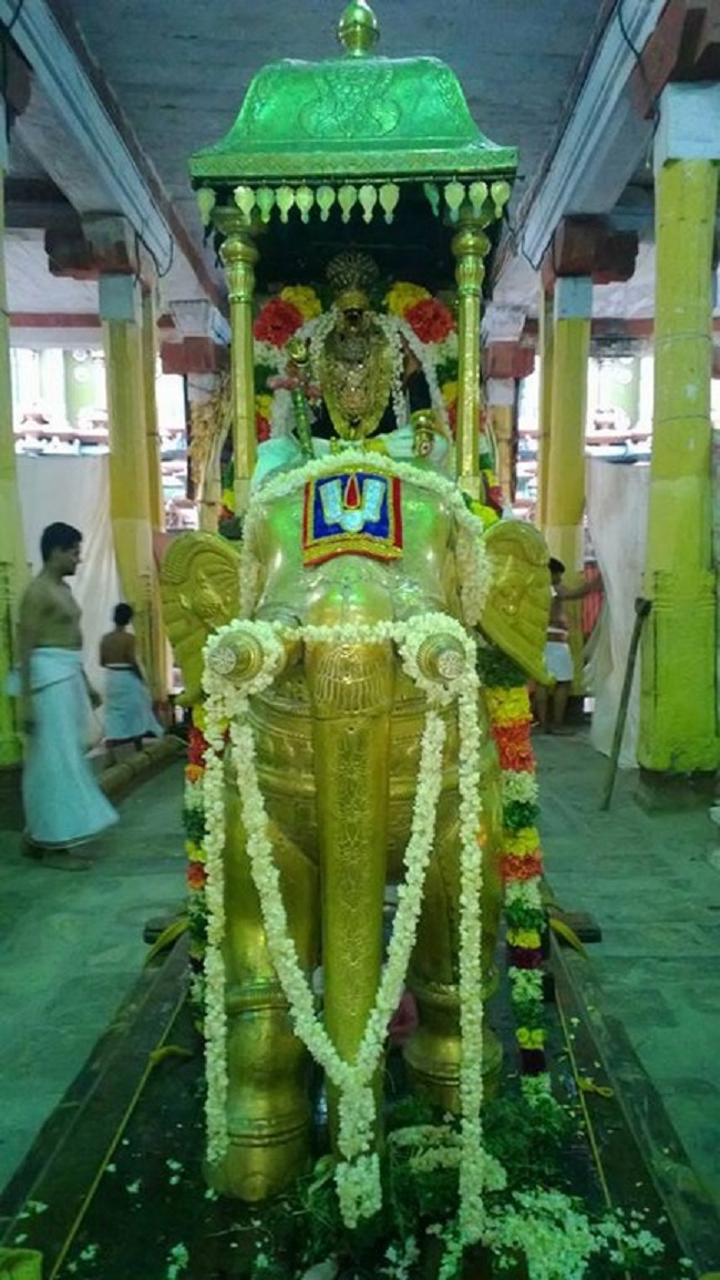 Vanamamalai Sri Deivanayaga Perumal Temple Panguni Brahmotsavam18