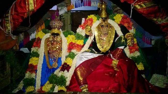 Vanamamalai Sri Deivanayaga Perumal Temple Panguni Brahmotsavam19