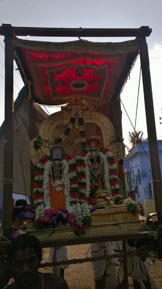 Vanamamalai Sri Deivanayaga Perumal Temple Panguni Brahmotsavam2