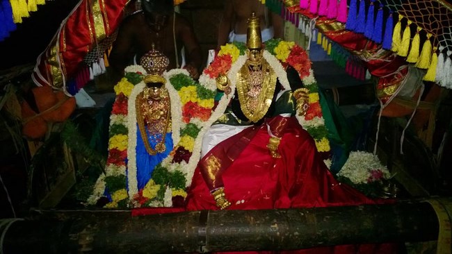 Vanamamalai Sri Deivanayaga Perumal Temple Panguni Brahmotsavam20