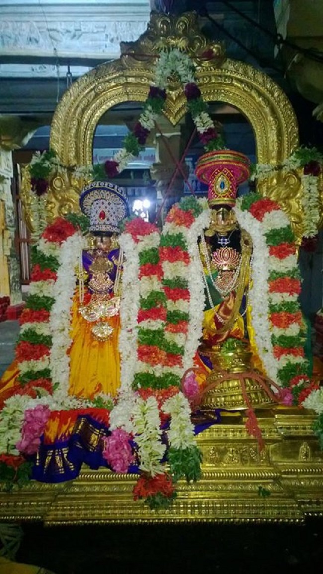 Vanamamalai Sri Deivanayaga Perumal Temple Panguni Brahmotsavam3