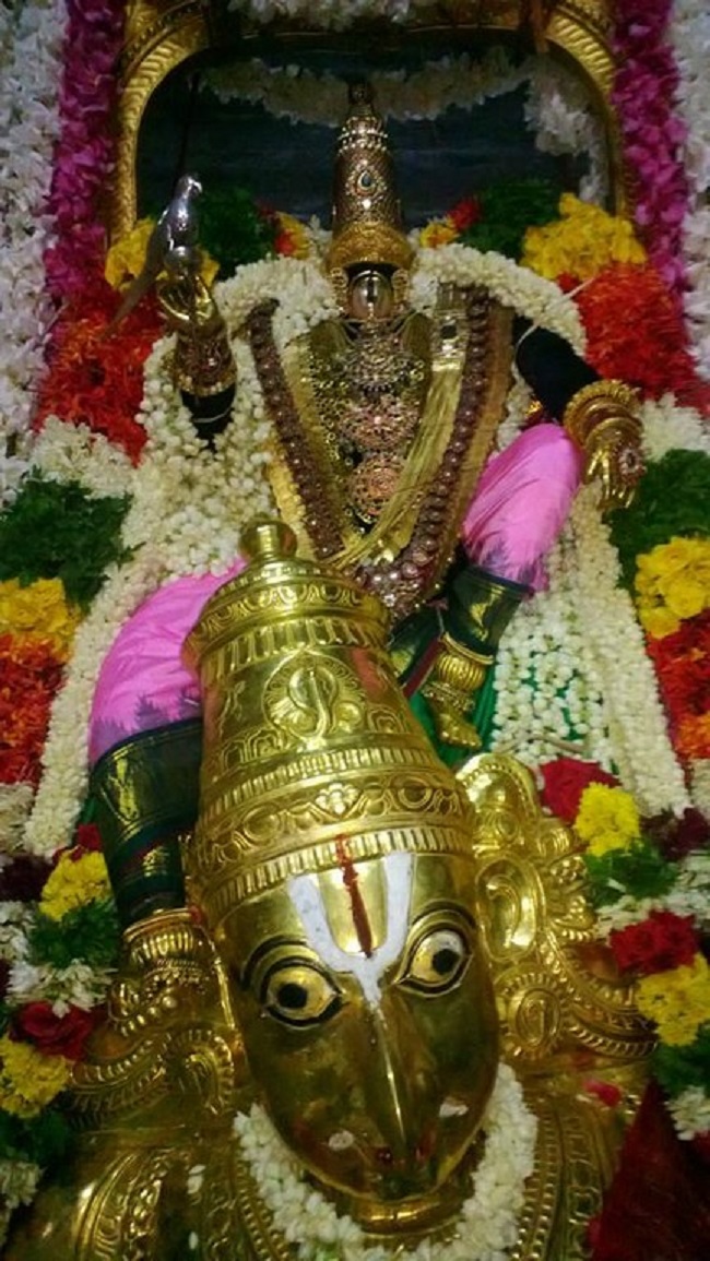 Vanamamalai Sri Deivanayaga Perumal Temple Panguni Brahmotsavam3