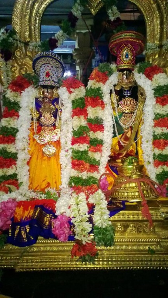 Vanamamalai Sri Deivanayaga Perumal Temple Panguni Brahmotsavam4