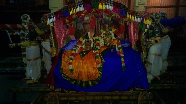 Vanamamalai Sri Deivanayaga Perumal Temple Panguni Brahmotsavam5