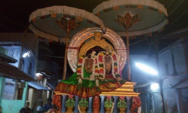 Vanamamalai Sri Deivanayaga Perumal Temple Panguni Brahmotsavam5