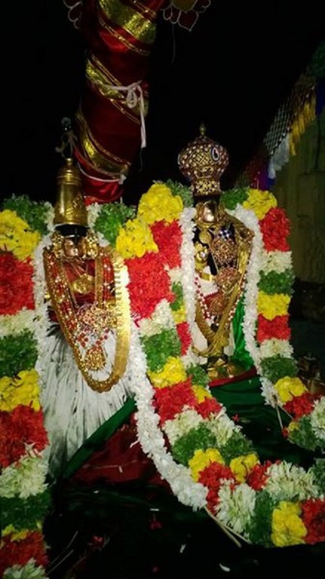 Vanamamalai Sri Deivanayaga Perumal Temple Panguni Brahmotsavam6