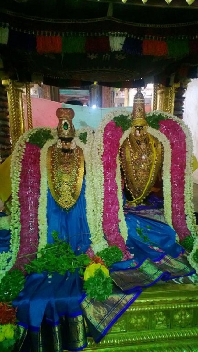 Vanamamalai Sri Deivanayaga Perumal Temple Panguni Brahmotsavam7