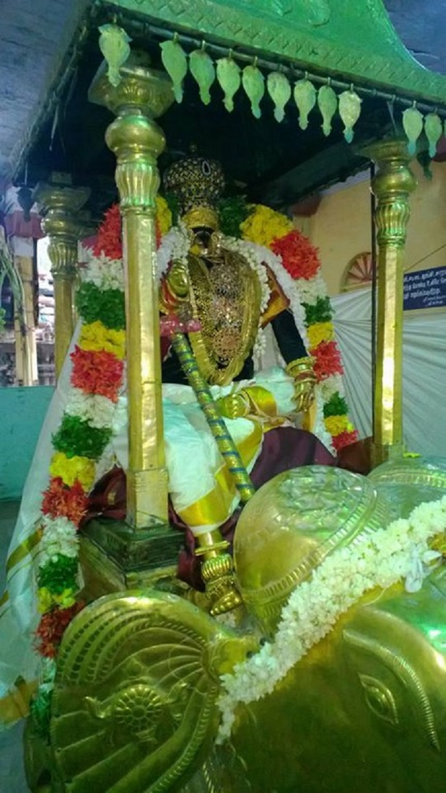 Vanamamalai Sri Deivanayaga Perumal Temple Panguni Brahmotsavam8