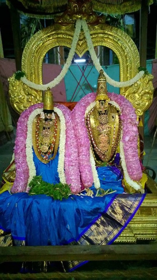 Vanamamalai Sri Deivanayaga Perumal Temple Panguni Brahmotsavam9