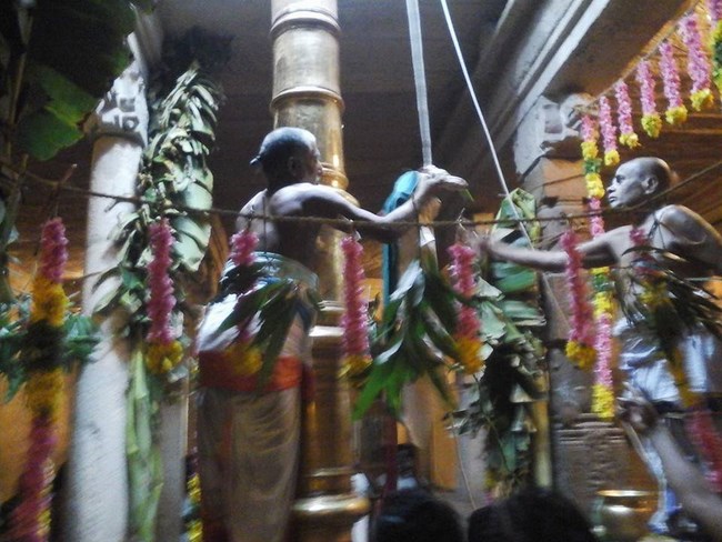 Azhwar Thirunagari Swami Nammazhwar Manmadha Varusha Thiruavathara Utsavam Commences12