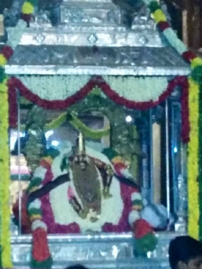 Azhwar Thirunagari Swami Nammazhwar Manmadha Varusha Thiruavathara Utsavam Commences18