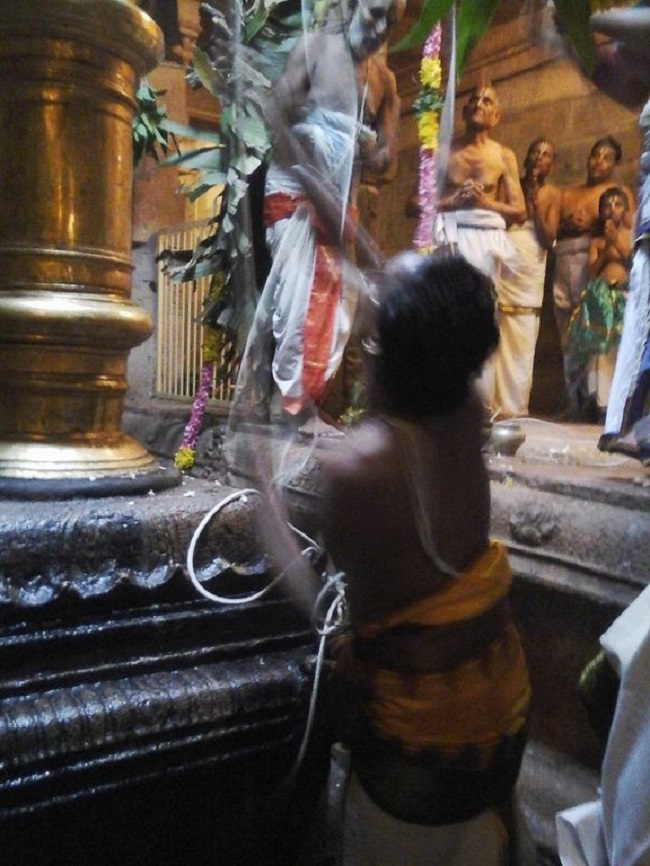 Azhwar Thirunagari Swami Nammazhwar Manmadha Varusha Thiruavathara Utsavam Commences32