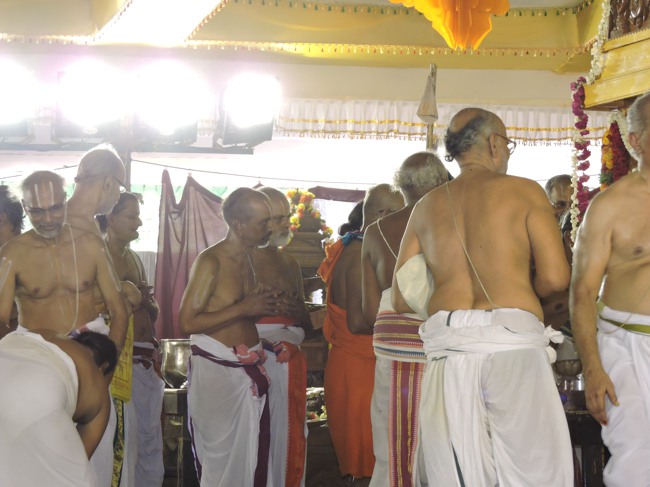 HH Srimushnam Andavan Sathabisheka Thirunakshatra Mahotsavam 2015-12