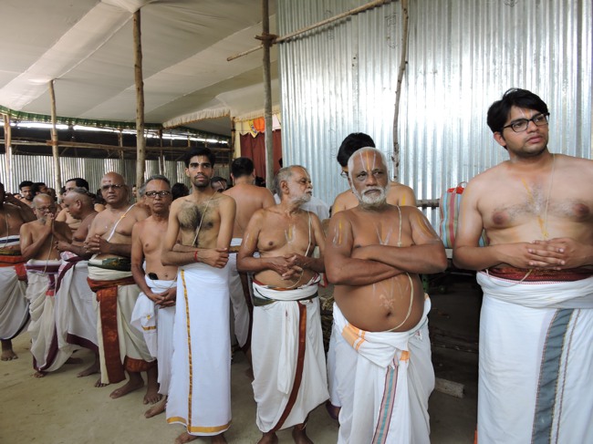 HH Srimushnam Andavan Sathabisheka Thirunakshatra Mahotsavam 2015-24