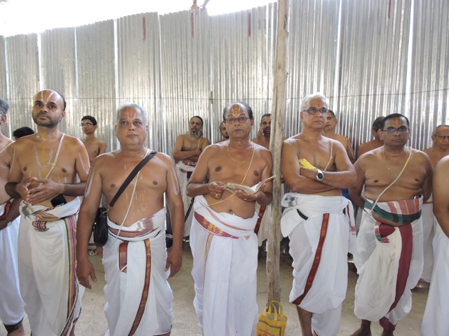HH Srimushnam Andavan Sathabisheka Thirunakshatra Mahotsavam 2015-32