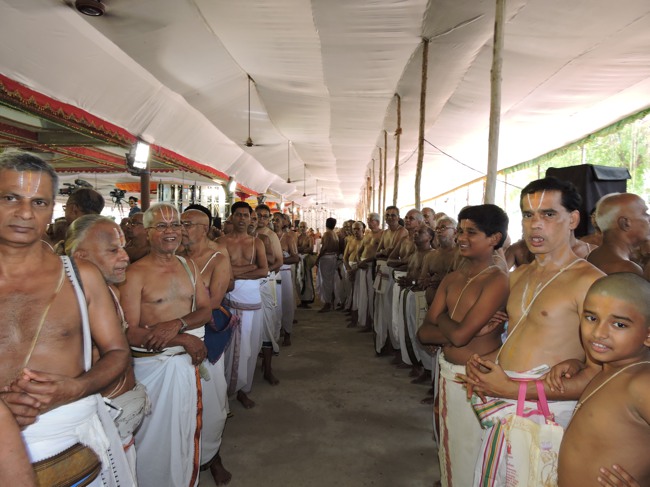 HH Srimushnam Andavan Sathabisheka Thirunakshatra Mahotsavam 2015-34