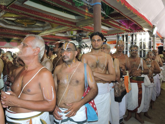 HH Srimushnam Andavan Sathabisheka Thirunakshatra Mahotsavam 2015-38