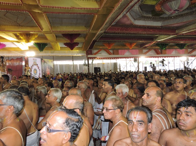HH Srimushnam Andavan Sathabisheka Thirunakshatra Mahotsavam 2015-43