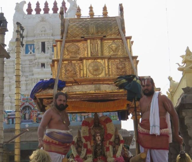 Kanchi Sri Devarajaswami Temple Manmadha varusha thiruavathara utsavam 2015 13