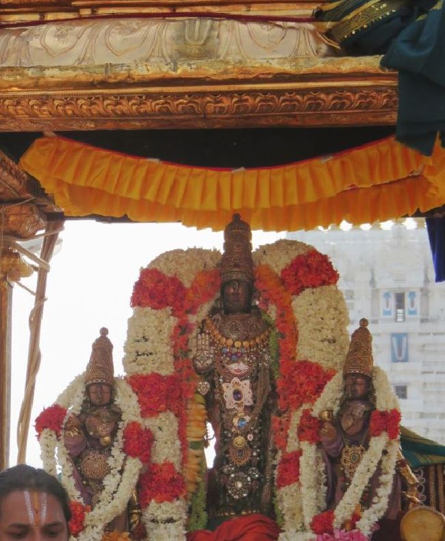 Kanchi Sri Devarajaswami Temple Manmadha varusha thiruavathara utsavam 2015 29