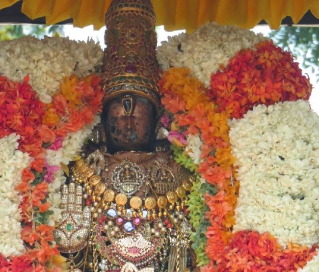 Kanchi Sri Devarajaswami Temple Manmadha varusha thiruavathara utsavam 2015 36
