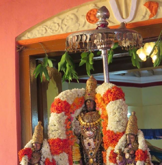 Kanchi Sri Devarajaswami Temple Manmadha varusha thiruavathara utsavam 2015 43