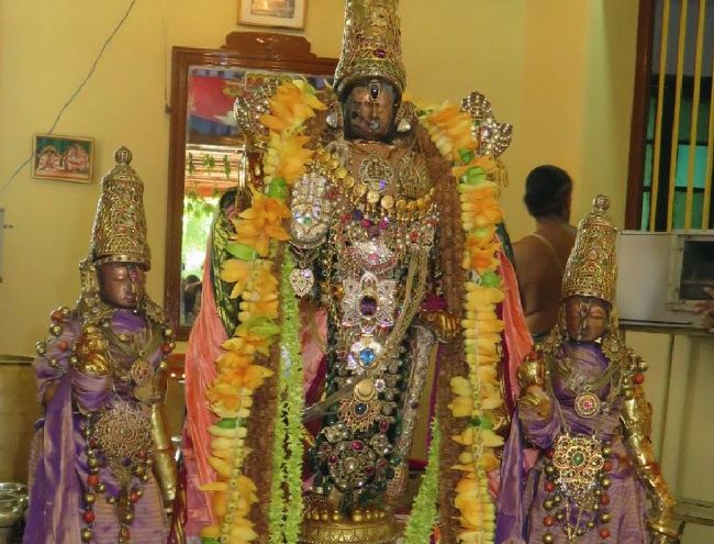 Kanchi Sri Devarajaswami Temple Manmadha varusha thiruavathara utsavam 2015 49