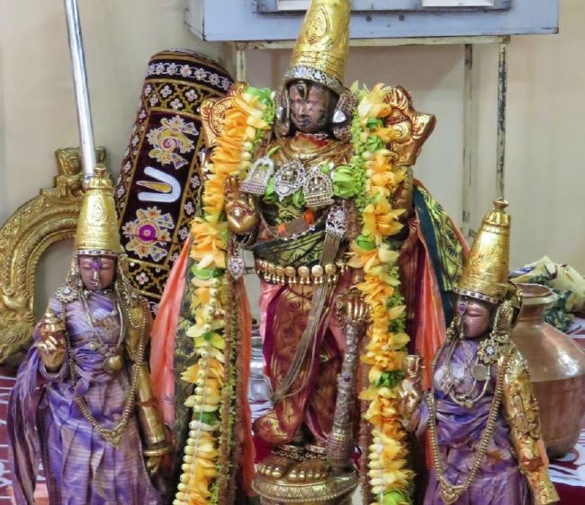 Kanchi Sri Devarajaswami Temple Manmadha varusha thiruavathara utsavam 2015 54
