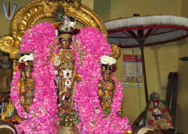 Kanchi Sri Devarajaswami Temple Thottotsavam 2015-01