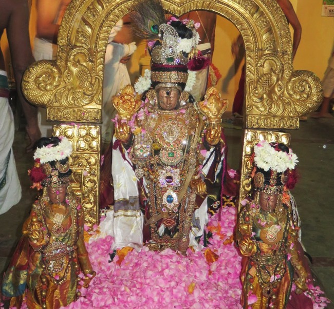 Kanchi Sri Devarajaswami Temple Thottotsavam 2015-03