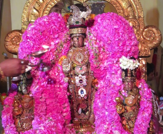 Kanchi Sri Devarajaswami Temple Thottotsavam 2015-04