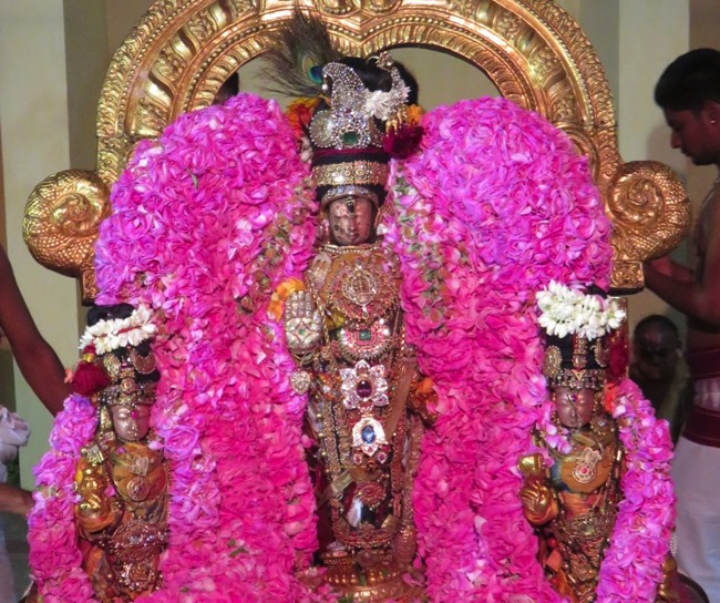Kanchi Sri Devarajaswami Temple Thottotsavam 2015-05