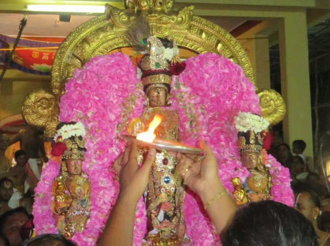 Kanchi Sri Devarajaswami Temple Thottotsavam 2015-11