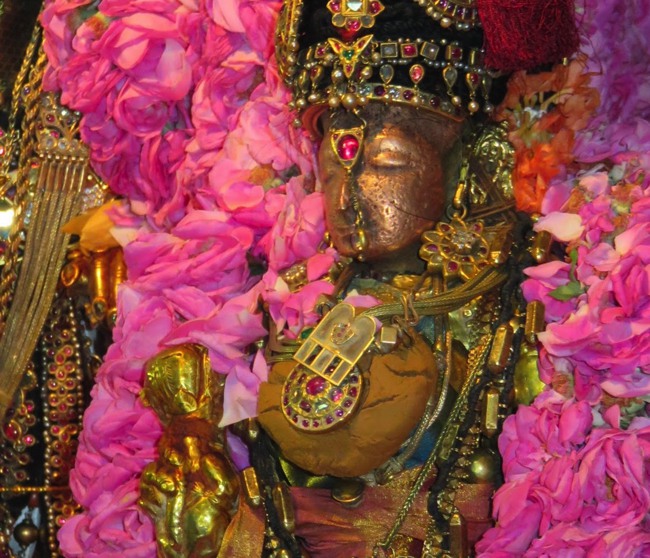 Kanchi Sri Devarajaswami Temple Thottotsavam 2015-16