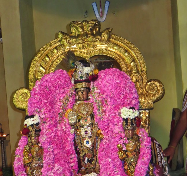 Kanchi Sri Devarajaswami Temple Thottotsavam 2015-21
