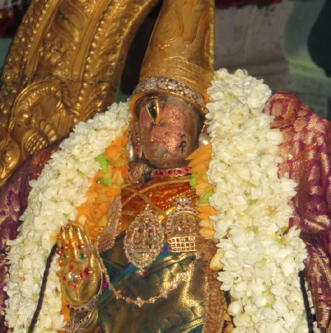 Kanchi Sri Perarulalan Chithira Pournami Purappadu  2015 38