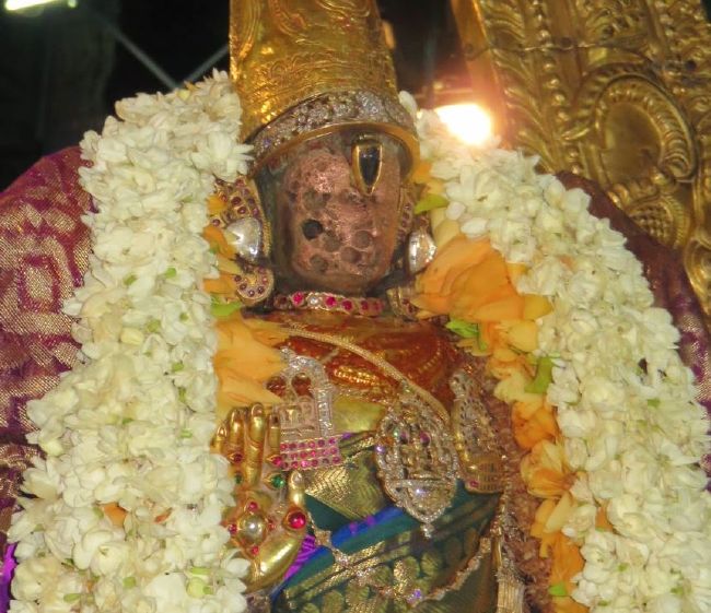 Kanchi Sri Perarulalan Chithira Pournami Purappadu  2015 46